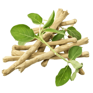 tress.png